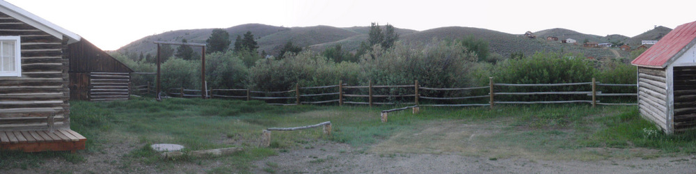 Looking out the back yard.